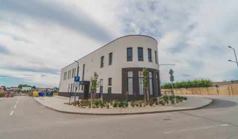 Pronájem Prostory pro obchod, Prostory pro obchod, Vladimíra Predmersk