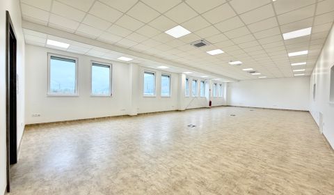 Moderní kanceláře k pronájmu v Tepličce nad Váhom, 178 m2