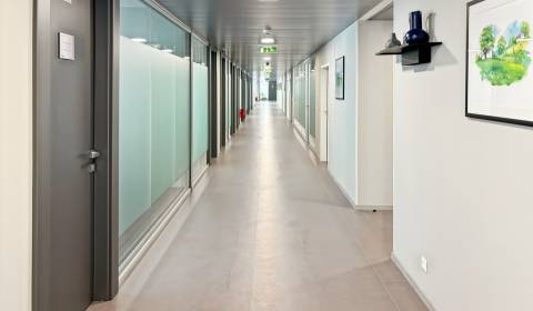 Pronájem Kancelářské prostory, Kancelářské prostory, Zriedlova 13, Koš