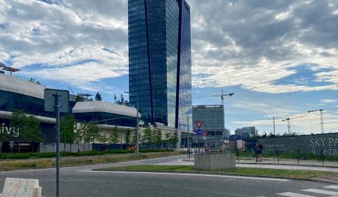 Pronájem Kancelářské prostory, Kancelářské prostory, Mlynské Nivy 5, B