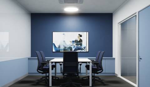 Pronájem Kancelářské prostory, Kancelářské prostory, ŽDIARSKA 705, Nit