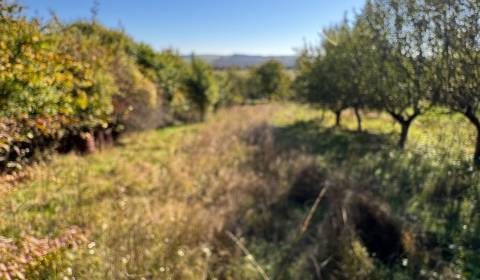 Prodej Chata, Chata, Levice, Slovensko