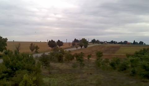 Prodej Rodinný dům, Rodinný dům, Nitra, Slovensko