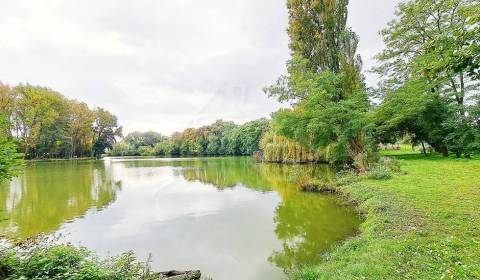 Prodej Rodinný dům, Rodinný dům, Nitra, Slovensko