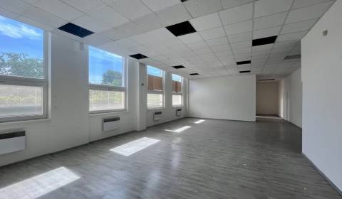 Pronájem Prostory pro obchod, Prostory pro obchod, Hattalova, Bratisla