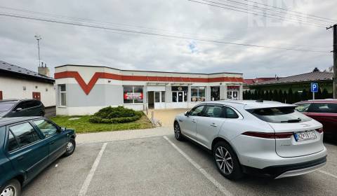 Pronájem Prostory pro obchod, Prostory pro obchod, Štefánikova 267, No