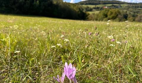 Prodej Zemědělské a lesní, Zemědělské a lesní, Banská Bystrica, Sloven