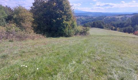 Prodej Zemědělské a lesní, Zemědělské a lesní, Banská Bystrica, Sloven