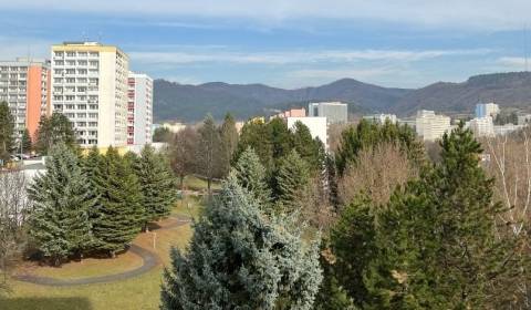 Hledáme Byt 1+1, Byt 1+1, Trieda Hradca Králové, Banská Bystrica, Slov