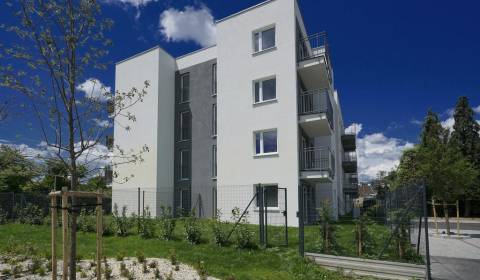 Hledáme Byt 2+1, Byt 2+1, Pezinok, Slovensko