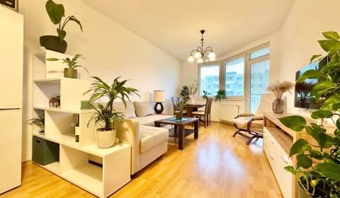 Pronájem Byt 2+1, Byt 2+1, Bratislava - Ružinov, Slovensko