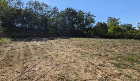 Prodej Pozemky - bydlení, Pozemky - bydlení, Melek, Nitra, Slovensko