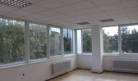 Pronájem Prostory pro obchod, Prostory pro obchod, Centrum, Považská B