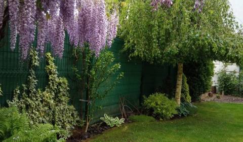 Prodej Rodinný dům, Rodinný dům, Brusnicová, Senec, Slovensko