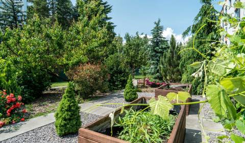 Prodej Rodinný dům, Rodinný dům, Janka Matúšku, Bánovce nad Bebravou, 