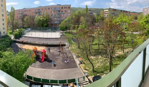 Hledáme Byt 2+1, Byt 2+1, Bratislava - Petržalka, Slovensko