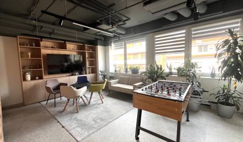 Pronájem Kancelářské prostory, Kancelářské prostory, Svätoplukova, Bra