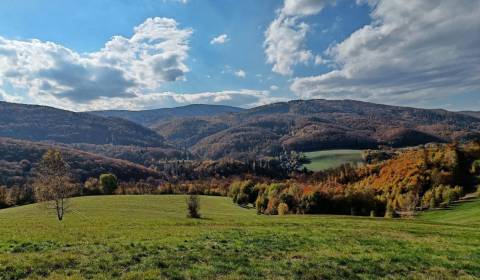 Prodej Zemědělské a lesní, Zemědělské a lesní, Trenčín, Slovensko