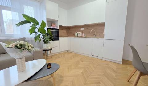 Pronájem Byt 2+1, Byt 2+1, Špitálska, Bratislava - Staré Mesto, Sloven