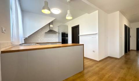 Prodej Rodinný dům, Rodinný dům, Ilava, Slovensko