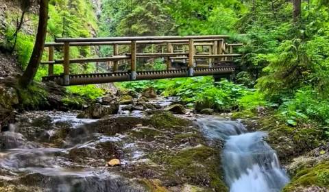Prodej Pozemky - bydlení, Pozemky - bydlení, Michalovce, Slovensko