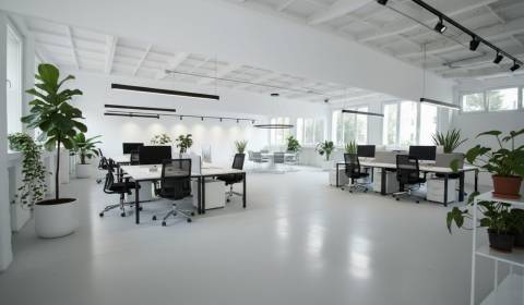 Prodej Budova, Budova, Narcisova, Bratislava - Ružinov, Slovensko