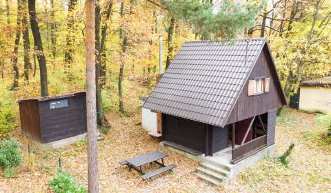 Prodej Chata, Chata, Senica, Slovensko