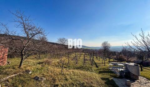 Prodej Zahrady, Zahrady, Nitra, Slovensko