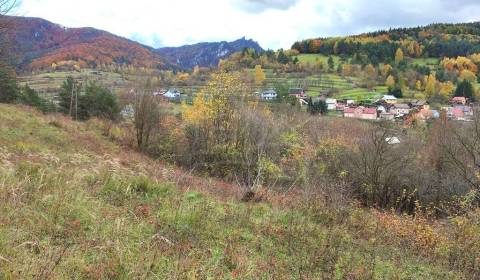 Prodej Zahrady, Zahrady, Bytča, Slovensko