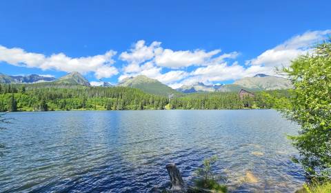 Prodej Zemědělské a lesní, Zemědělské a lesní, Poprad, Slovensko