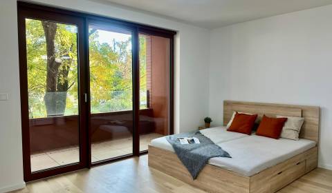 Pronájem Byt 1+1, Byt 1+1, Košická, Bratislava - Ružinov, Slovensko