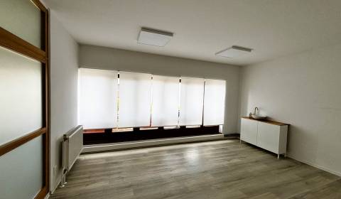 Pronájem Prostory pro obchod, Prostory pro obchod, Štúrovo nám., Trenč