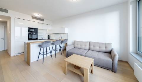 Pronájem Byt 2+1, Byt 2+1, Továrenská, Bratislava - Staré Mesto, Slove