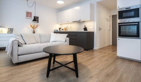 Pronájem Byt 1+1, Byt 1+1, Ivánska cesta, Bratislava - Ružinov, Sloven