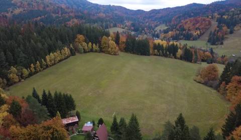 Prodej Pozemky - rekreace, Pozemky - rekreace, Čertov, Púchov, Slovens