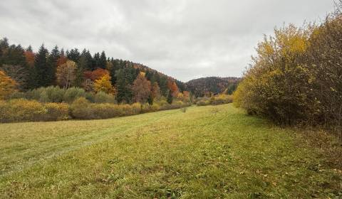 Prodej Pozemky - rekreace, Pozemky - rekreace, Čertov, Púchov, Slovens