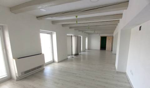 Pronájem Kancelářské prostory, Kancelářské prostory, Levická, Nitra, S