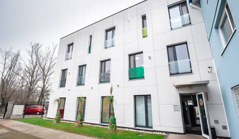 Pronájem Kancelářské prostory, Kancelářské prostory, Odborárska, Brati