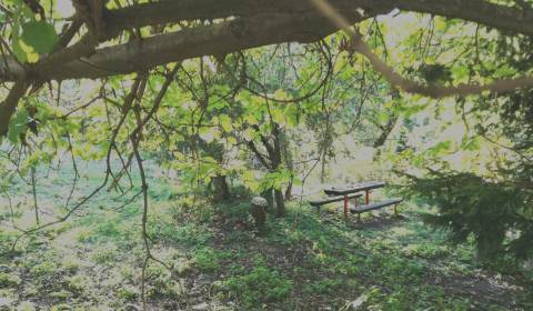 Hledáme Zahrady, Zahrady, Srnková, Banská Bystrica, Slovensko