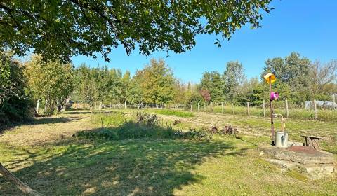 Prodej Pozemky - bydlení, Pozemky - bydlení, Martovce, Komárno, Sloven