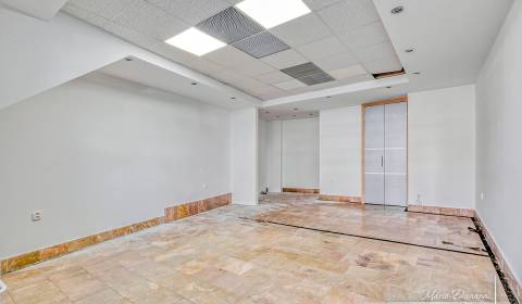 Pronájem Prostory pro obchod, Prostory pro obchod, Dolnopotočná, Trnav