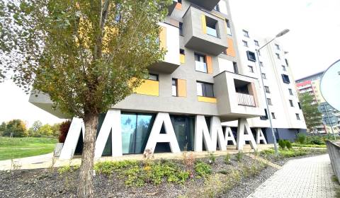 Pronájem Byt 3+1, Byt 3+1, Nejedlého, Bratislava - Dúbravka, Slovensko