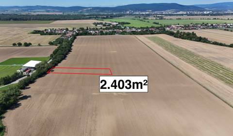 Prodej Zemědělské a lesní, Zemědělské a lesní, Nové Mesto nad Váhom, S