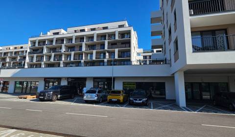 Pronájem Prostory pro obchod, Prostory pro obchod, Bratislava - Rača, 