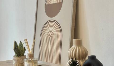 Pronájem Byt 1+1, Byt 1+1, Nové Zámky, Slovensko