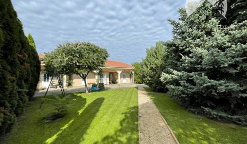 Prodej Hotely a penziony, Hotely a penziony, Čičovská, Dunajská Streda