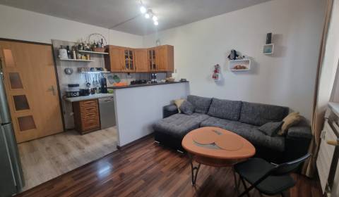 Prodej Byt 1+1, Byt 1+1, Viničky, Nitra, Slovensko