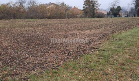 Prodej Pozemky - bydlení, Pozemky - bydlení, Farná, Levice, Slovensko