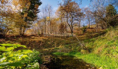 Prodej Zahrady, Zahrady, Nový Svet, Banská Bystrica, Slovensko