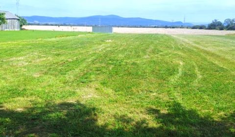 Prodej Pozemky - bydlení, Pozemky - bydlení, Vybúchanec, Michalovce, S